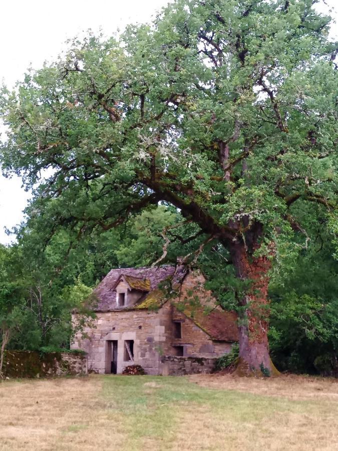 Bed and Breakfast Les Granges De L Abbaye Ginals Экстерьер фото